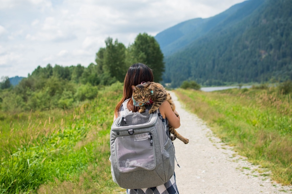 Your Cat Backpack The Navigator Cat Backpack, Women's
